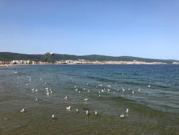 Sirena, Sveti Vlas (foto 3)