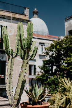 Costantinopoli 104, Naples (photo 5)
