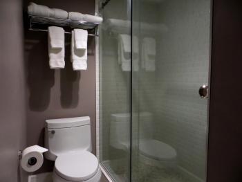 Oasis at Gold Spike, Las Vegas (photo 4)