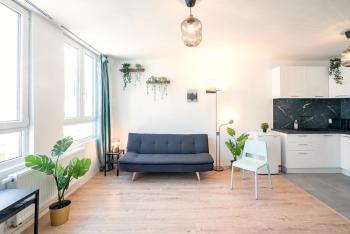 Charming Central Cityflats, Antverpy (fotografie 4)