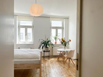 Central Apartment next to Belvedere Castle, Vídeň (fotografie 5)