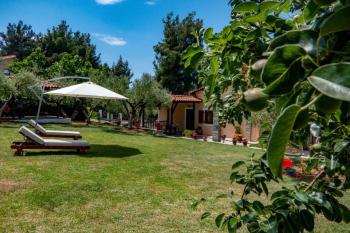 Small Paradise, Nikiti (fotografie 2)