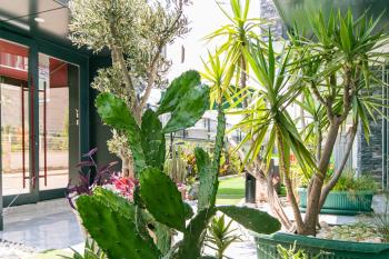 Oniks Comfort Suites, Antalya (fotografie 3)