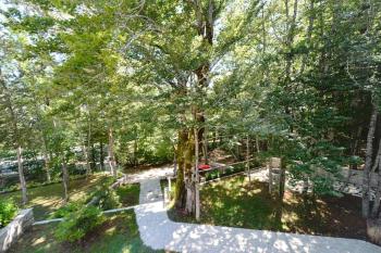 Forest house, Cetinje (Cettigne) (foto 5)