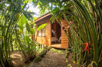 Arenal Rústic Lodge, Fortuna (fotografie 2)