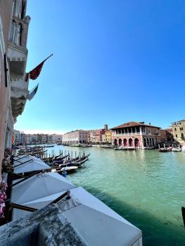 Pesaro Palace, Venice (photo 4)