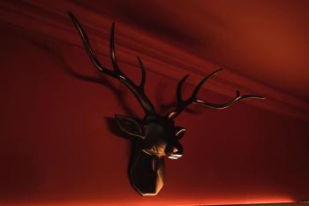 Huntly House - A Residence Like No Other, Glasgow (fotografie 2)