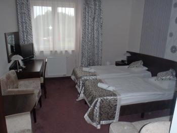 Hotel Monet & Rubbens, Toruň (fotografie 4)