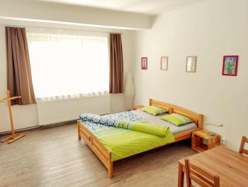 Apartment Žižkov, Praga (foto 3)