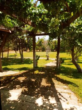 Li Papi, Galatone (foto 4)