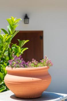 Άλυσσος suites, Tsagkarada (foto 3)