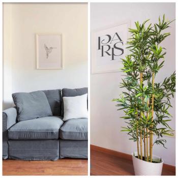 Rosaleda 13 con parking incluido by Pineapple Homes, Malaga (foto 4)