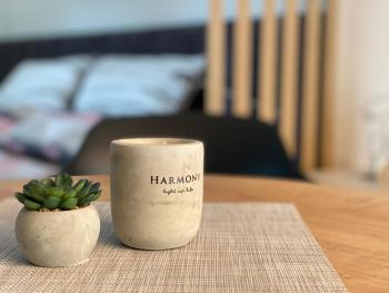 Artatore24 - Modern and stylish Apartments, Mali Lošinj (fotografie 2)
