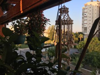 Orange Garden, Antalya (Foto 3)