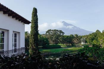Villa Bokeh, Antigua Guatemala (foto 5)