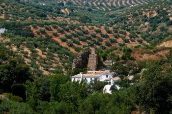 Molino La Ratonera, Granada (photo 5)