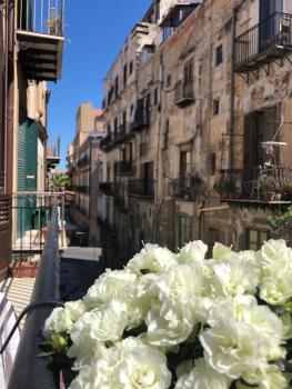 Piazza Marina Open Space, Palermo (fotografie 3)