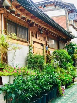 Yeon Dang Guesthouse, Soul (fotografie 3)