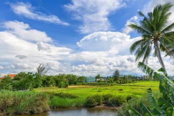 Gió Chiều Homestay - Riverside & Swimming pool, Hoi An (photo 4)