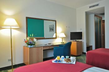 BV Hotel Oly, Řím (fotografie 3)