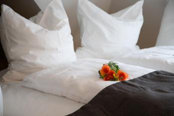 Alpha & Omega Hotel Stuttgart Air Clima, Stuttgart (photo 5)