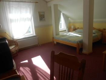 Poska Villa Guesthouse, Tallinn (photo 4)