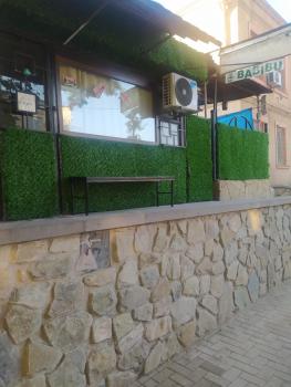 Babibu, Mtskheta (photo 3)