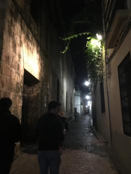Patio de la Plateria, Córdoba (Foto 3)