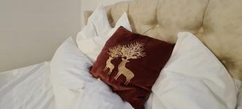The Modern Cave Lodge - ComfyHome Apartments Stuttgart, Stuttgart (photo 3)