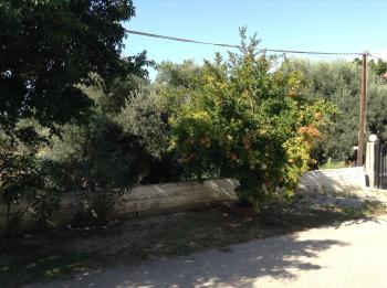 Studio Stella, Plakias (fotografie 3)