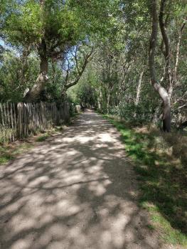 Port Griad, Le Coq (photo 5)