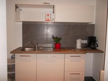 Villa Schiller, 2 studios côté jardin - quartier Orangerie, Strasbourg (photo 3)