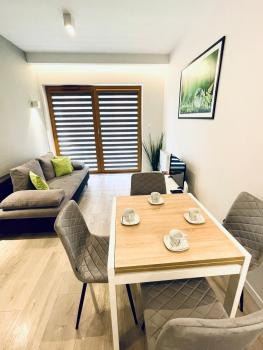 Modern Silver Apartment, Cracovie (photo 3)