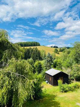 FeWo - Bergblick, Клингенталь (фото 2)