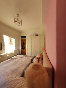 The Flat with the Pink Door, Edimburgo (foto 3)