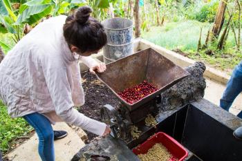 Glamping Spa & Coffee Tour, Medellín (fotografie 3)
