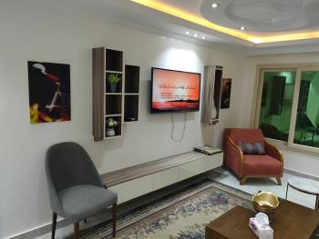 شقة فندقية, Mansoura (photo 3)