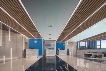 Holiday Inn Express Shanghai Qingpu New City by IHG, Shanghai (Foto 5)