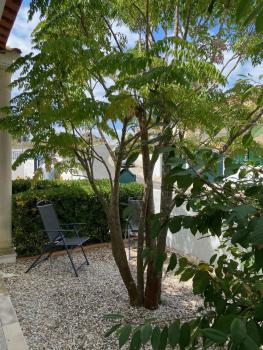 Casa do Canto - Uma casa no campo, perto da praia., Óbidos (fotografie 5)