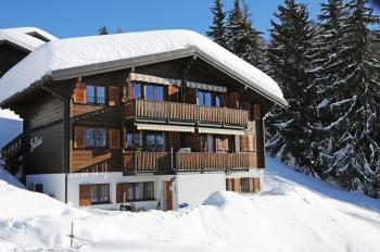 Chalet Trollius, Bettmeralp (foto 2)