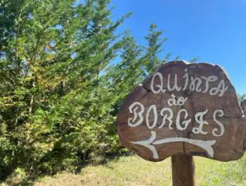 Quinta do Borges 2, Guarda (zdjęcie 3)