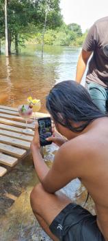 Refúgio Samauma, Manaus (fotografie 4)