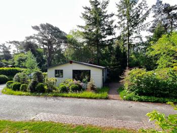 Boszicht, Diever (fotografie 4)