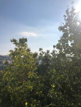ORJAN VIEW, Irjān (zdjęcie 2)