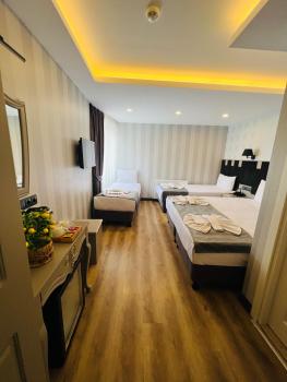 Old City Viva Hotel, Стамбул (фото 4)