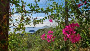 Stone House in olive grove, Tolo (fotografie 5)
