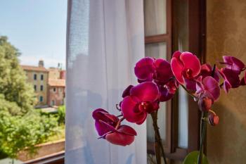 Hotel Orsaria, Venice (photo 5)