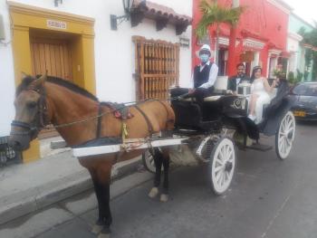 APTO INTERIOR, Cartagena de Indias (photo 4)