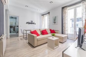 Spacious flat puerta del sol, Madrid (fotografie 3)