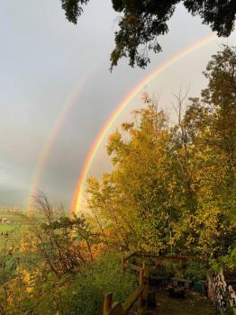 Tiny House Big View, Chilliwack (photo 3)